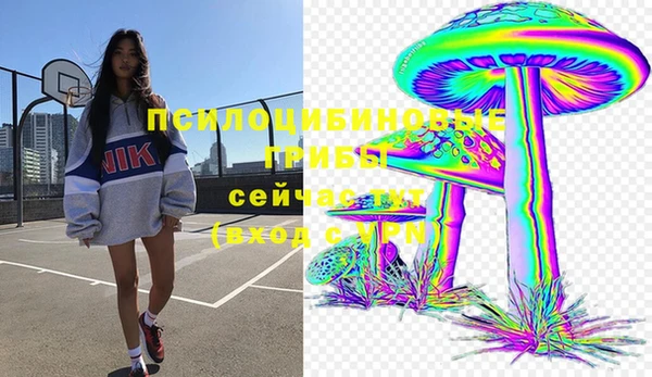 ГАЛЛЮЦИНОГЕННЫЕ ГРИБЫ Армянск